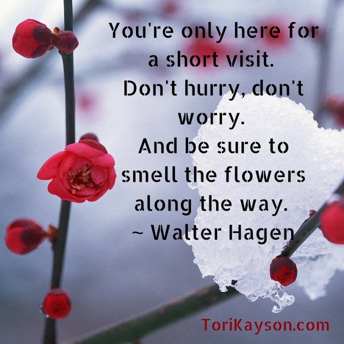 You're only here for a short visit.