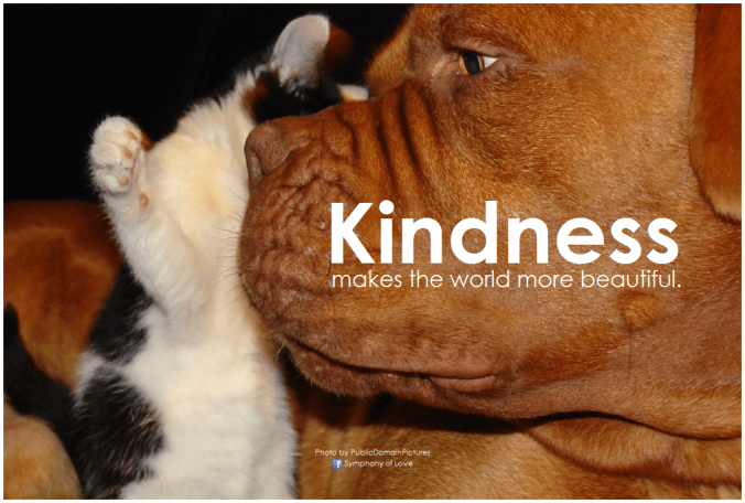 Tips for Traveling in Europe