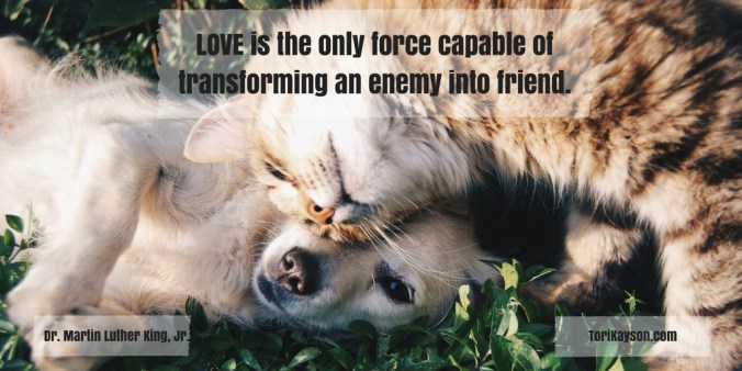 Love Dr Martin Luther King, Jr Tori Kayson