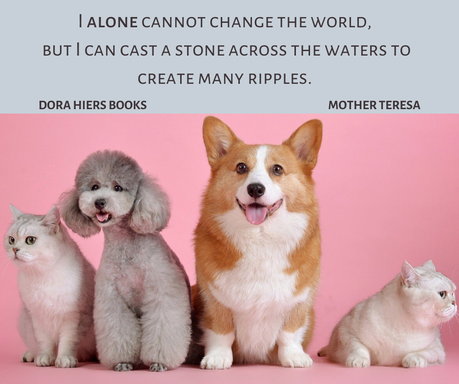 Community i alone can't change the world.png